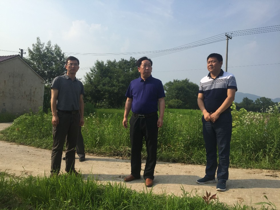 QQ图片20180615175642.jpg