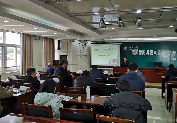 国网青阳县供电公司举办“以案明纪”专题廉政党课.jpg
