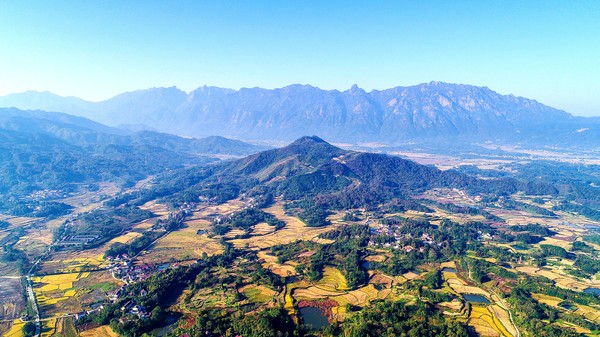 1、杨田镇全景.jpg